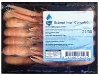 Seacon Scampi 21/30 Surg. Gr.500