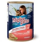 - Miglior Gatto Patè Tonno&Salmone Lattina Gr.405