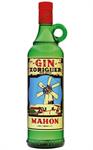 XORIGUER GIN 38° CL.70